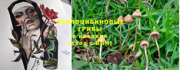 спайс Армянск
