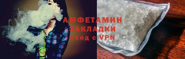 прущие грибы Аркадак