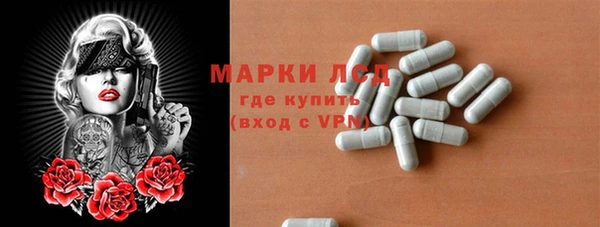 прущие грибы Аркадак