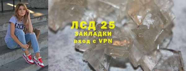 прущие грибы Аркадак